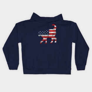 American Flag Cat Kids Hoodie